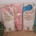 Tooth Fairy’s Special Delivery Door Hanger